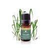 Citronella Essential Oil (Cymbopogon nardus)