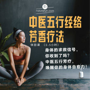 中医五行经络芳香疗法体验课